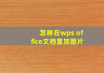 怎样在wps office文档里加图片